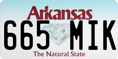 AR license plate 665MIK