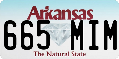 AR license plate 665MIM