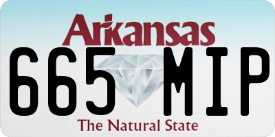 AR license plate 665MIP