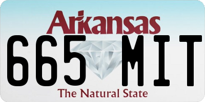 AR license plate 665MIT