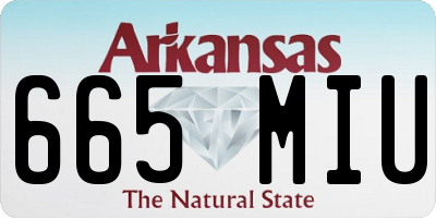 AR license plate 665MIU
