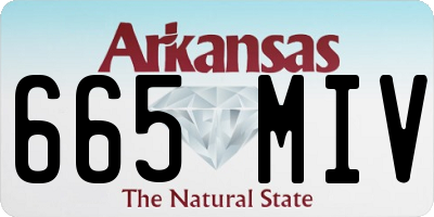 AR license plate 665MIV