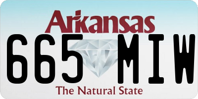 AR license plate 665MIW