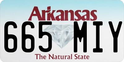AR license plate 665MIY