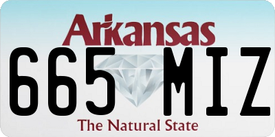 AR license plate 665MIZ