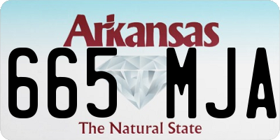 AR license plate 665MJA