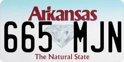 AR license plate 665MJN