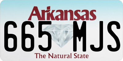 AR license plate 665MJS