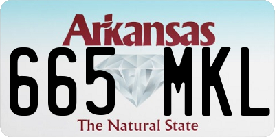 AR license plate 665MKL