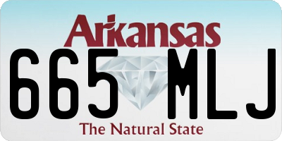 AR license plate 665MLJ