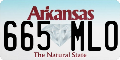 AR license plate 665MLO