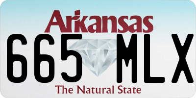 AR license plate 665MLX