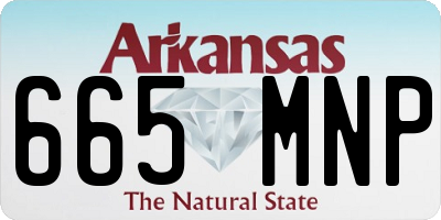 AR license plate 665MNP