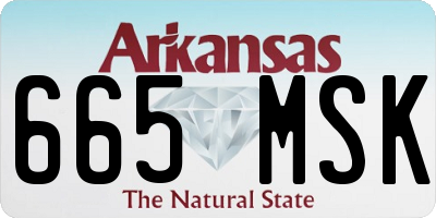 AR license plate 665MSK