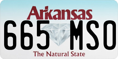 AR license plate 665MSO