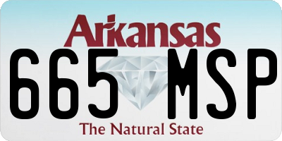AR license plate 665MSP
