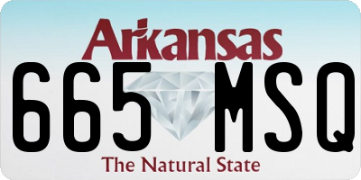 AR license plate 665MSQ