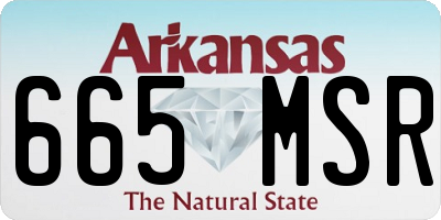 AR license plate 665MSR