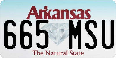 AR license plate 665MSU