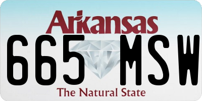 AR license plate 665MSW