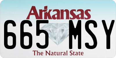 AR license plate 665MSY