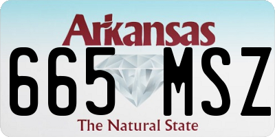 AR license plate 665MSZ