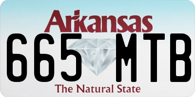 AR license plate 665MTB