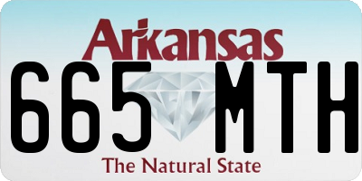 AR license plate 665MTH