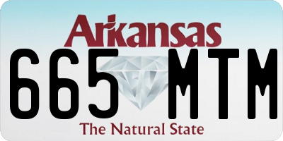 AR license plate 665MTM