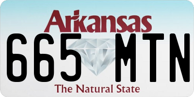 AR license plate 665MTN