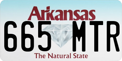 AR license plate 665MTR