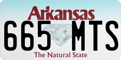 AR license plate 665MTS