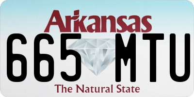 AR license plate 665MTU