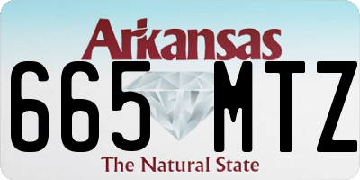 AR license plate 665MTZ