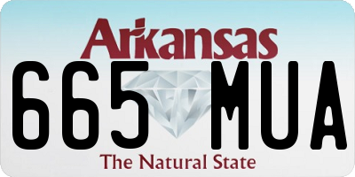 AR license plate 665MUA