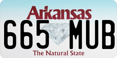 AR license plate 665MUB