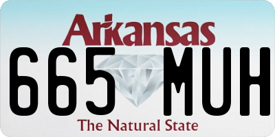 AR license plate 665MUH