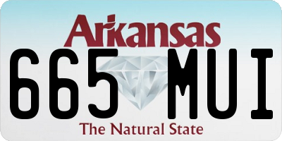 AR license plate 665MUI