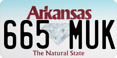 AR license plate 665MUK