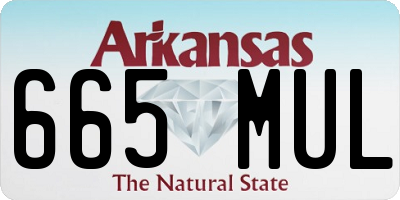 AR license plate 665MUL