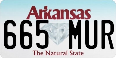 AR license plate 665MUR