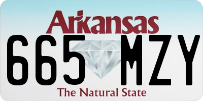 AR license plate 665MZY