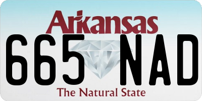 AR license plate 665NAD