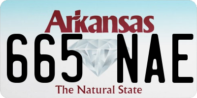 AR license plate 665NAE