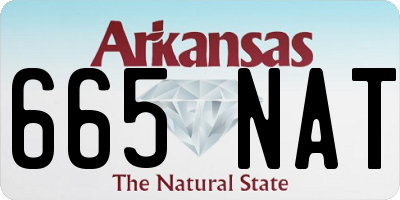 AR license plate 665NAT