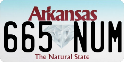 AR license plate 665NUM