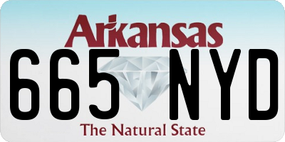 AR license plate 665NYD