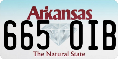 AR license plate 665OIB