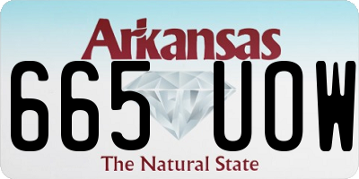 AR license plate 665UOW