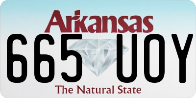AR license plate 665UOY